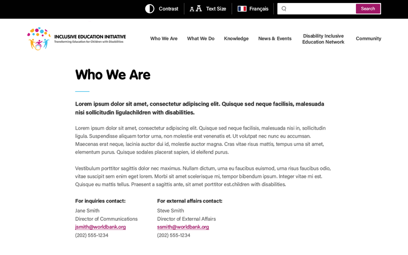 IEI — Who We Are Page