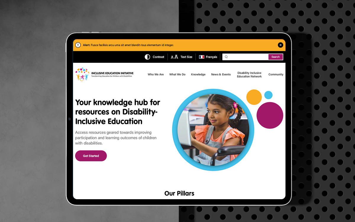 Inclusive Education Initiative